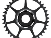 SRAM Chainring Direct Mount (Bosch)