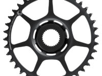 SRAM Chainring Direct Mount (Bosch)